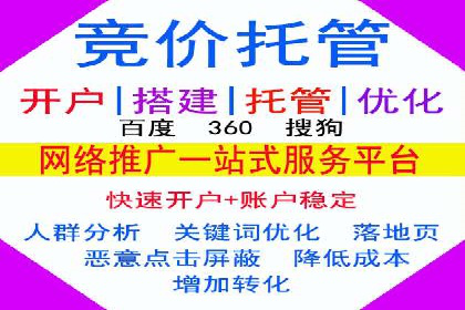 关键词竞价排名策略案例分析